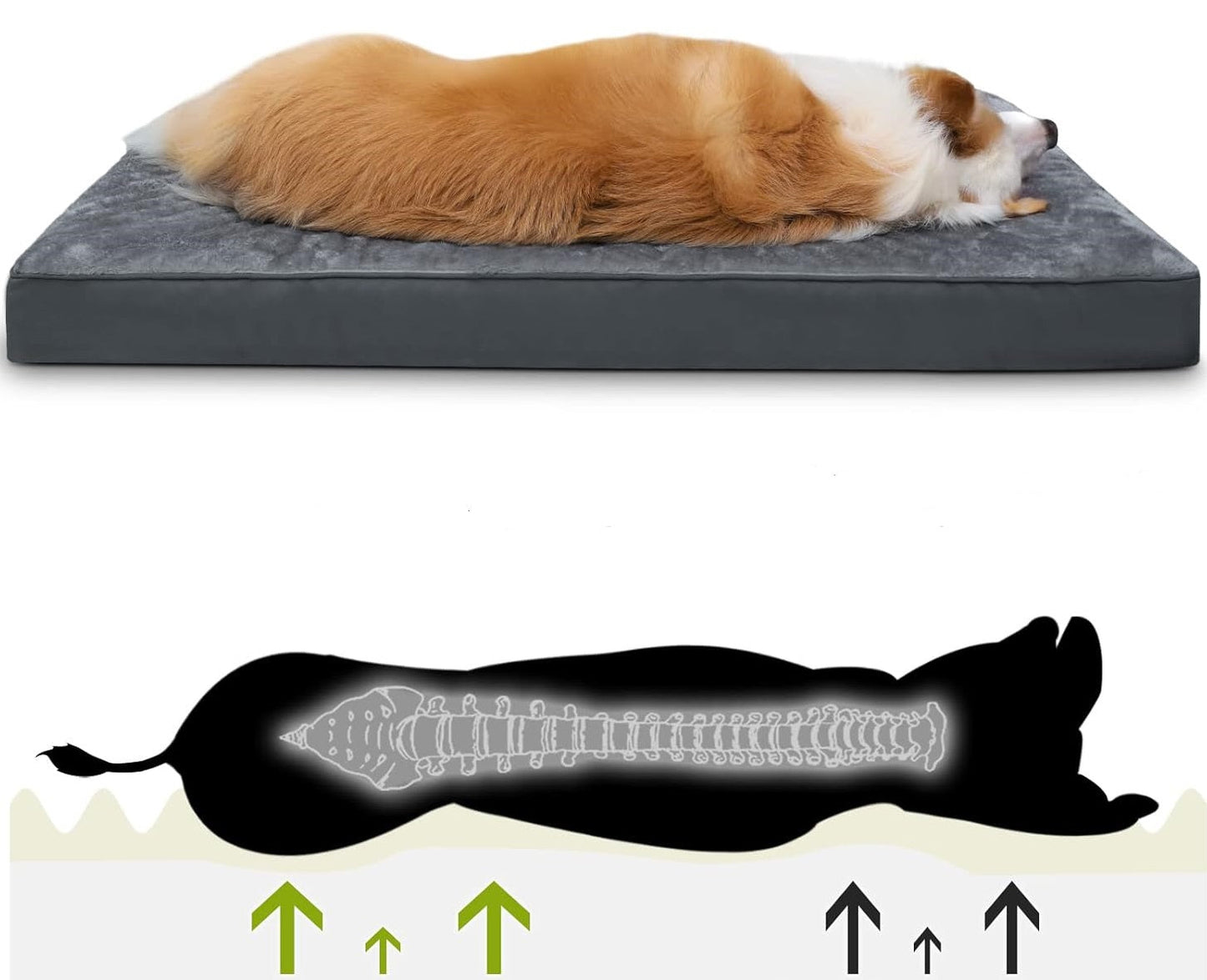 Комфортно Легло за Куче, Водоустойчив Калъф с Цип, Плюш, Дунапрен 73x45x7см - JAFRA