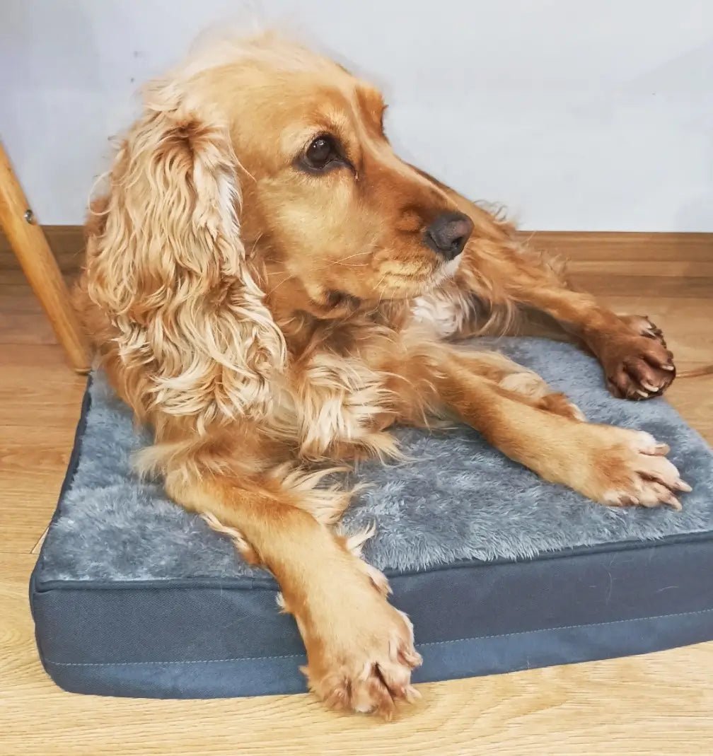 Комфортно Легло за Куче, Водоустойчив Калъф с Цип, Плюш, Дунапрен 73x45x7см - JAFRA