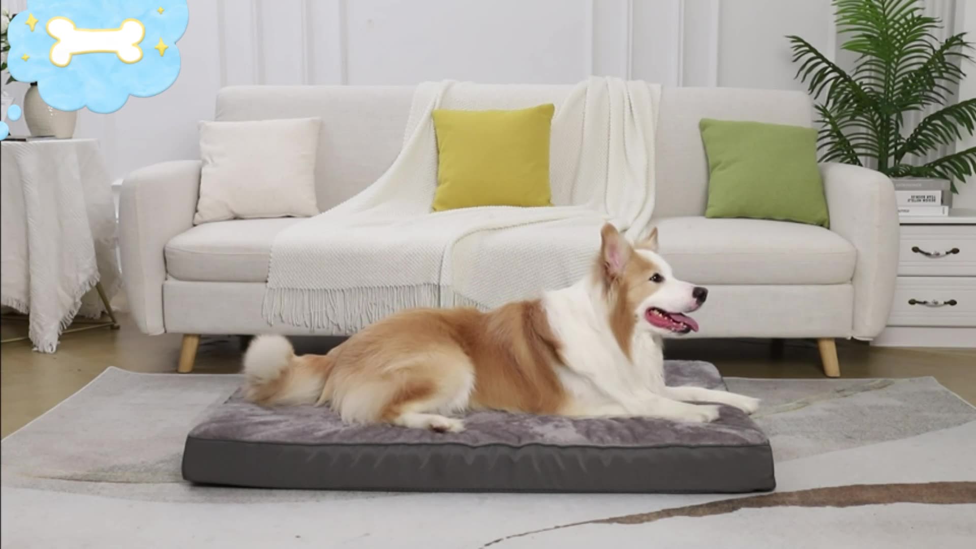 Комфортно Легло за Куче, Водоустойчив Калъф с Цип, Плюш, Дунапрен 73x45x7см - JAFRA